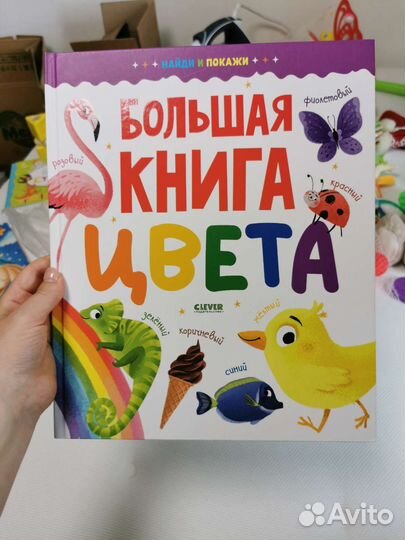 Большая книга цвета
