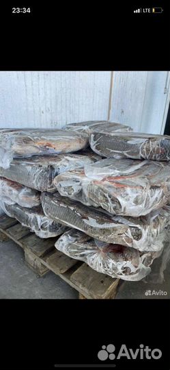 Рыба доставкой за границу