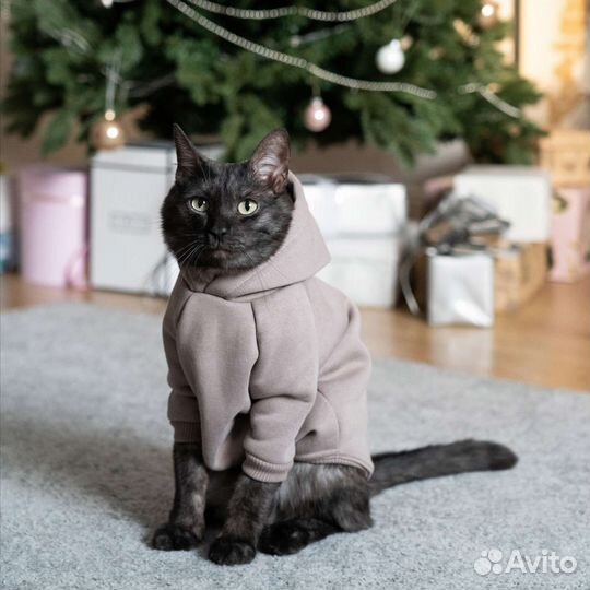 Утепленное худи толстовка для кошек и собак мелких
