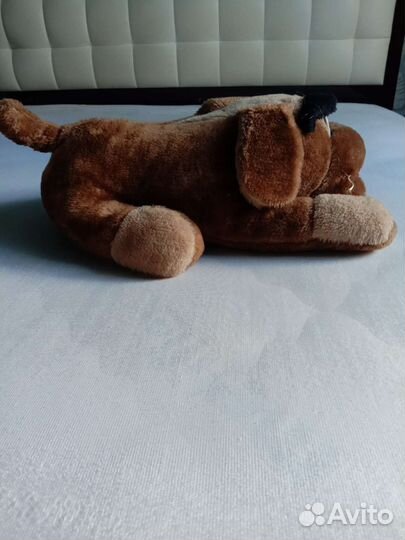 Большая мягкая собака