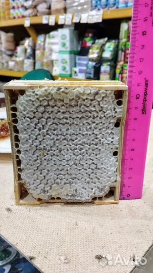 Мёд в сотах. Разнотравье. Алтай. Авитодоставка