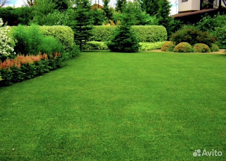 Превосходный газон на вашем участке