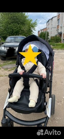 Коляска 2 в 1 indigo porto