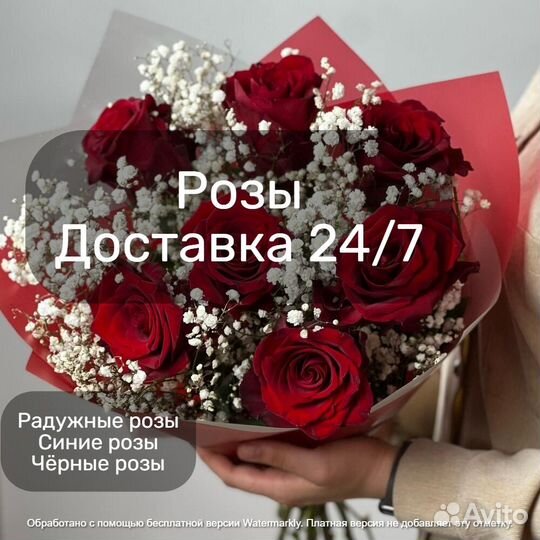 Розы, 101 роза, цветы