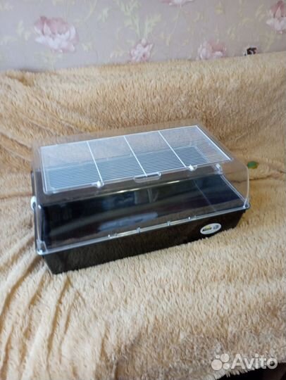 Хомячки, клетка