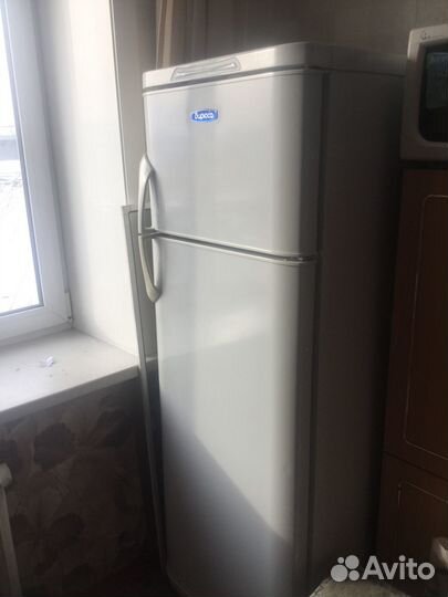 Холодильник Бирюса