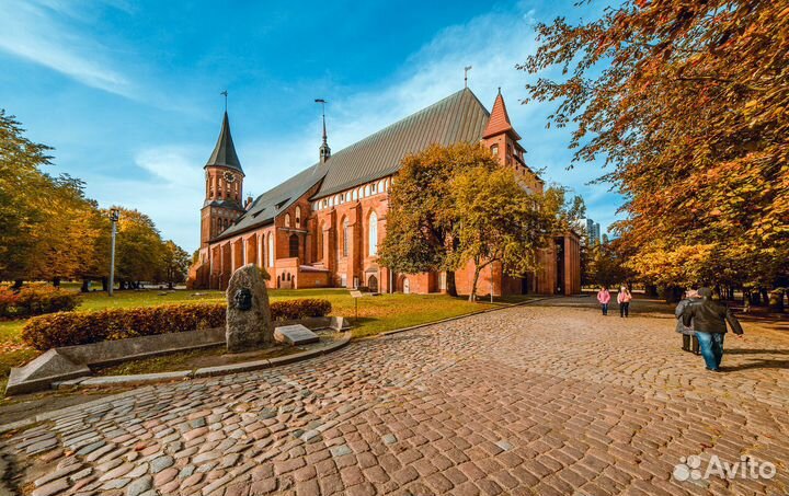 Экскурсии. Гид по Калининграду и области