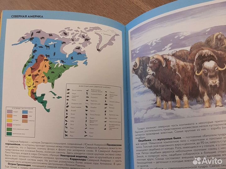 Атлас животных