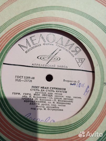 Иван Суржиков - Мне не жить без России