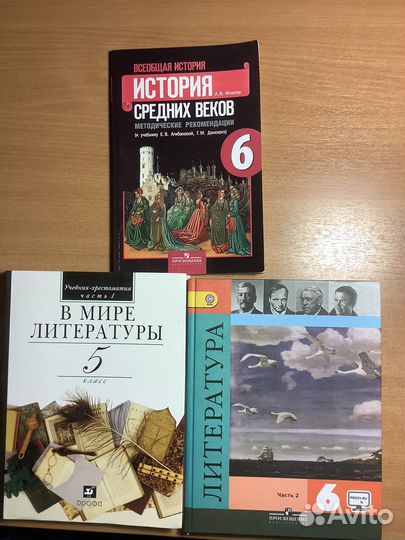 Книги:Литература, История