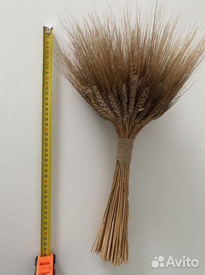 Букет из сухоцветов