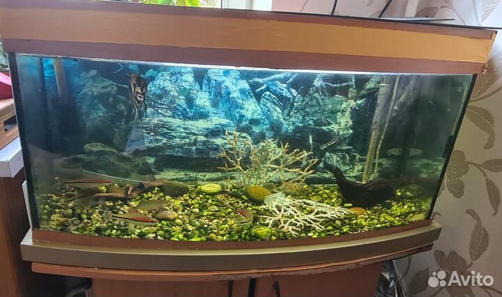 Аквариум с тумбой
