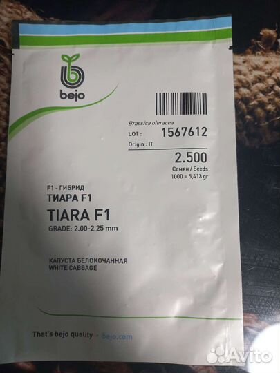 Семена капусты