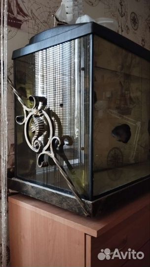 Настенный подвесной аквариум