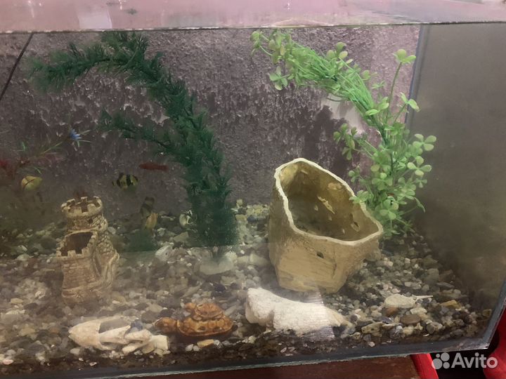 Аквариум с рыбками и декором