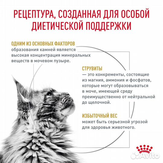 Royal Canin (вет.корма) сухой для кошек, склонных