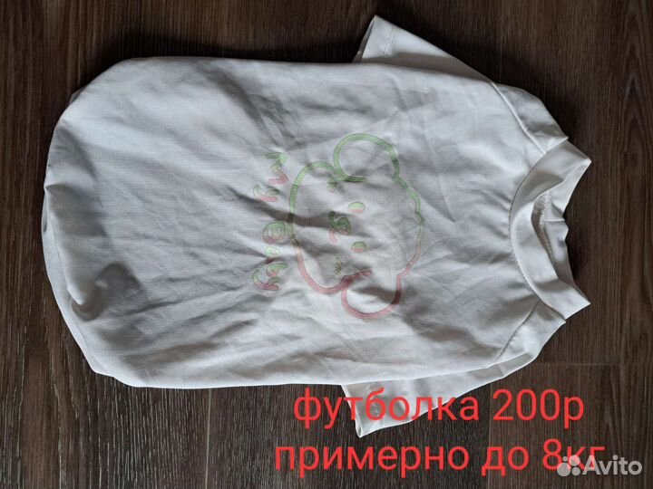 Одежда для собак