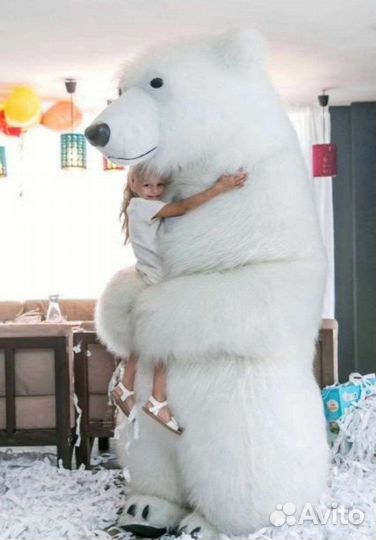 Поздравление медведя с днём рождения