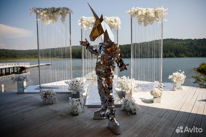 Зеркальные люди. Шоу программы