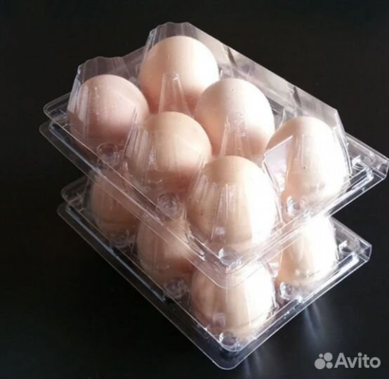 Домашние куриные яйца