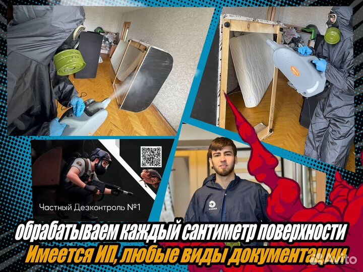 Дезинфекция обработка от грызунов клещей