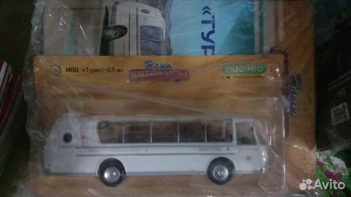 Наши автобусы modimio