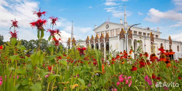 Экскурсия — Москва — повднх наэлектросамокате