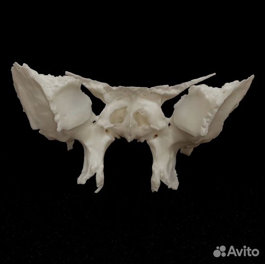 Широкоформатная печать на 3D принтере