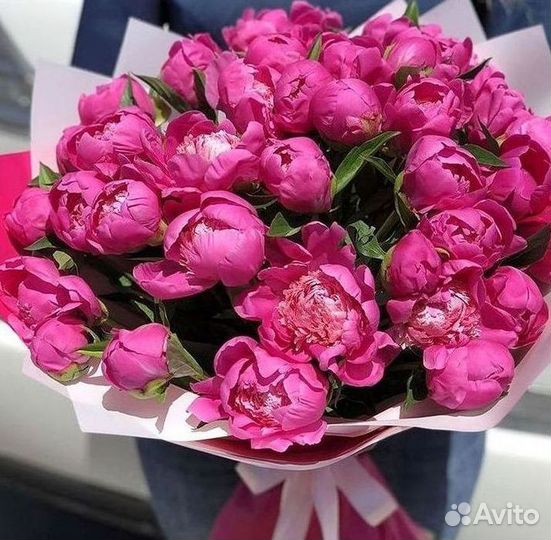 Пионы Букет пионов