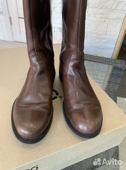 Сапоги женские Ecco