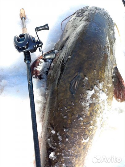 Мультипликаторная катушка Shimano Exsence DC 17