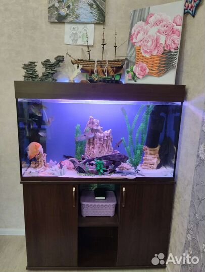 Аквариум на 180 литров
