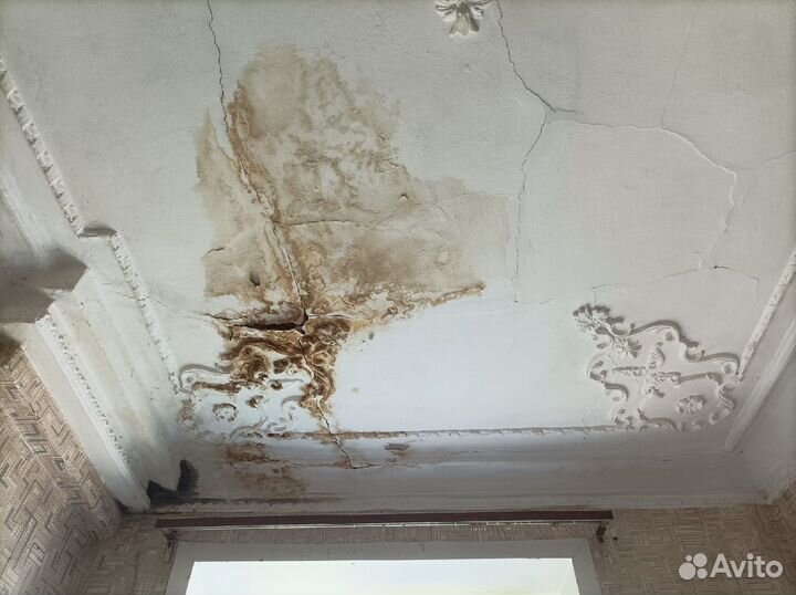 Строительно-техническая экспертиза