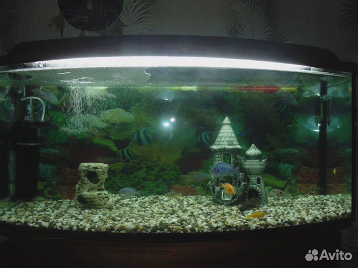 Аквариум