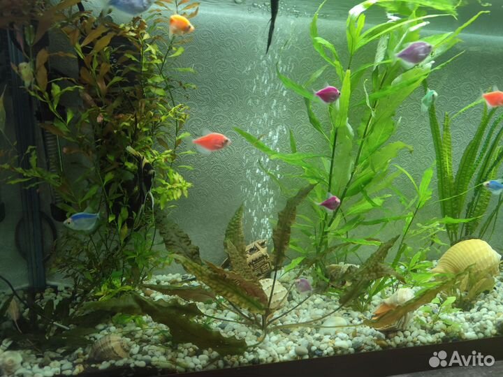Аквариум 140л