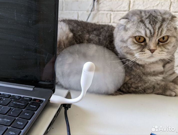 Портативный вентилятор USB, microusb, iPhone