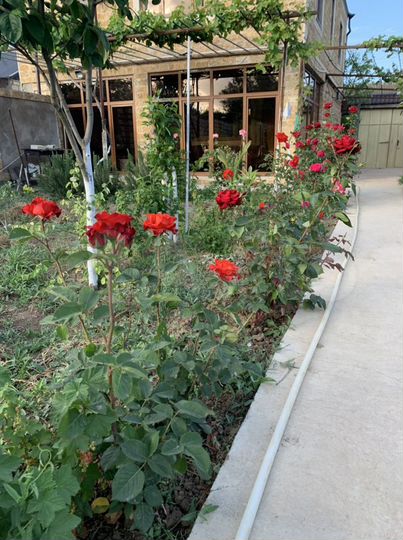 Дача 160 м² на участке 6 сот.