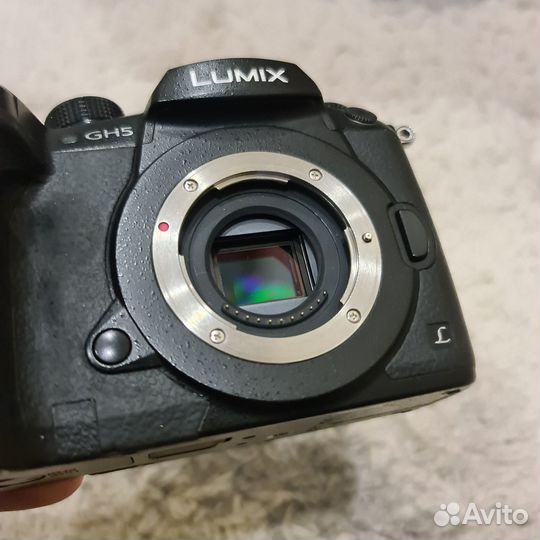 Panasonic gh5