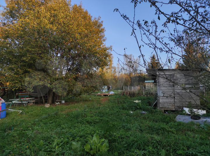 Участок 50 сот. (ИЖС)