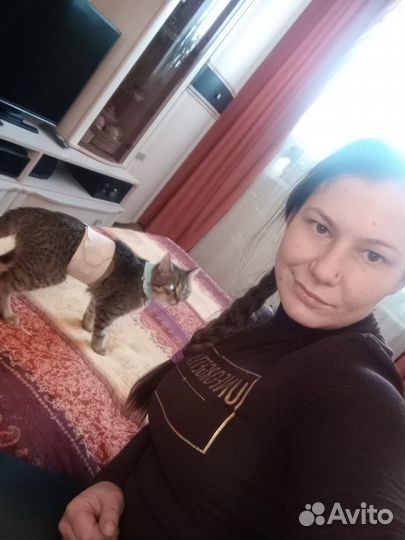 Выгул собак и передержка животных