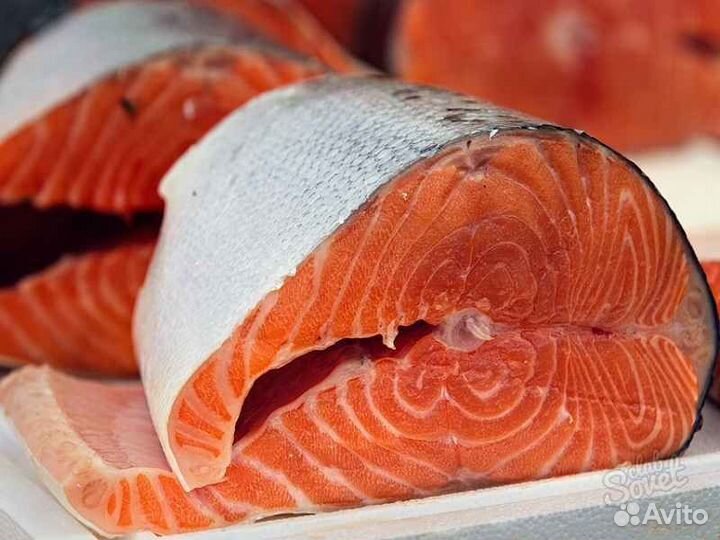 Рыба кижуч, форель