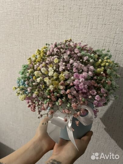 Гипсофила Цветы Букеты живые цветы Композиция