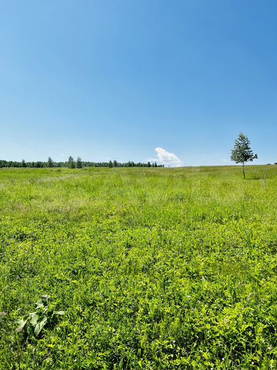 Участок 7,59 га (ИЖС)