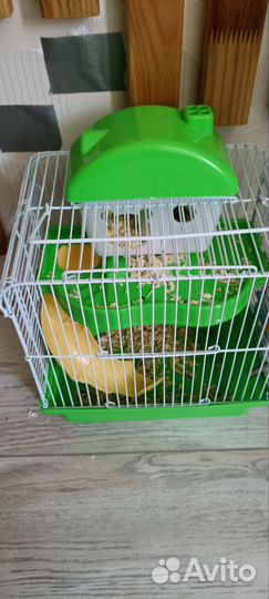 Джунгарский хомяк с клеткой