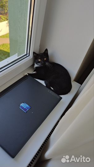 Lenovo Legion 5 17, 2060, 32 ram, 1.5 tb ssd