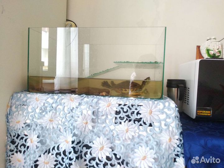 Отдам дом с мебелью и черепахой