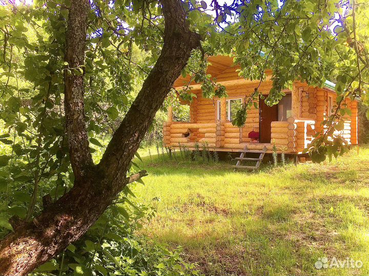 Психолог (исцеление души)