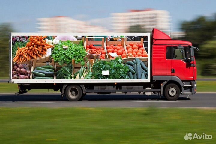 Поставка овощей и фруктов