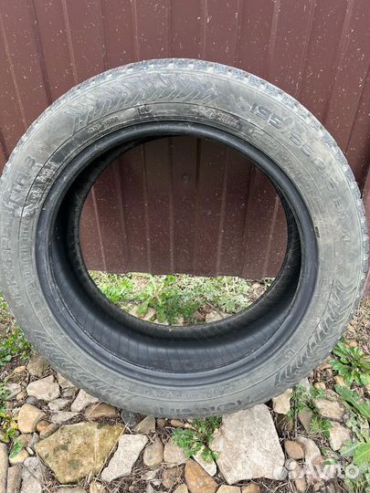 Nokian Tyres Hakkapeliitta 8 195/55 R16