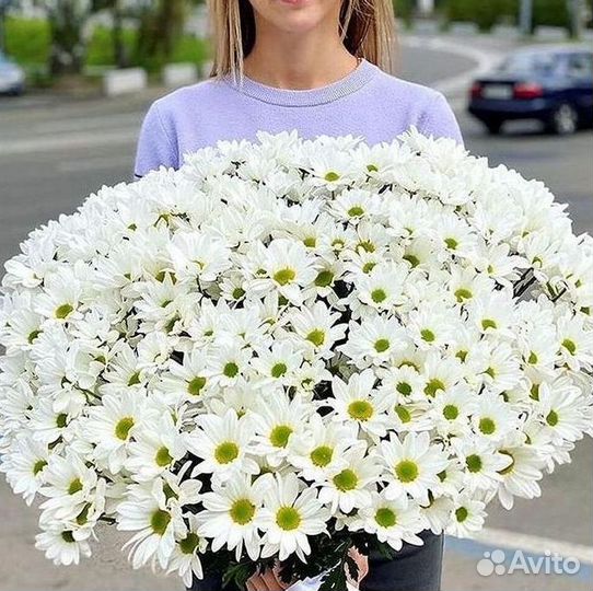 Хризантема Букеты доставка цветов